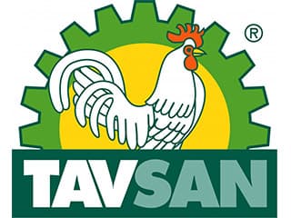 Tavsan
